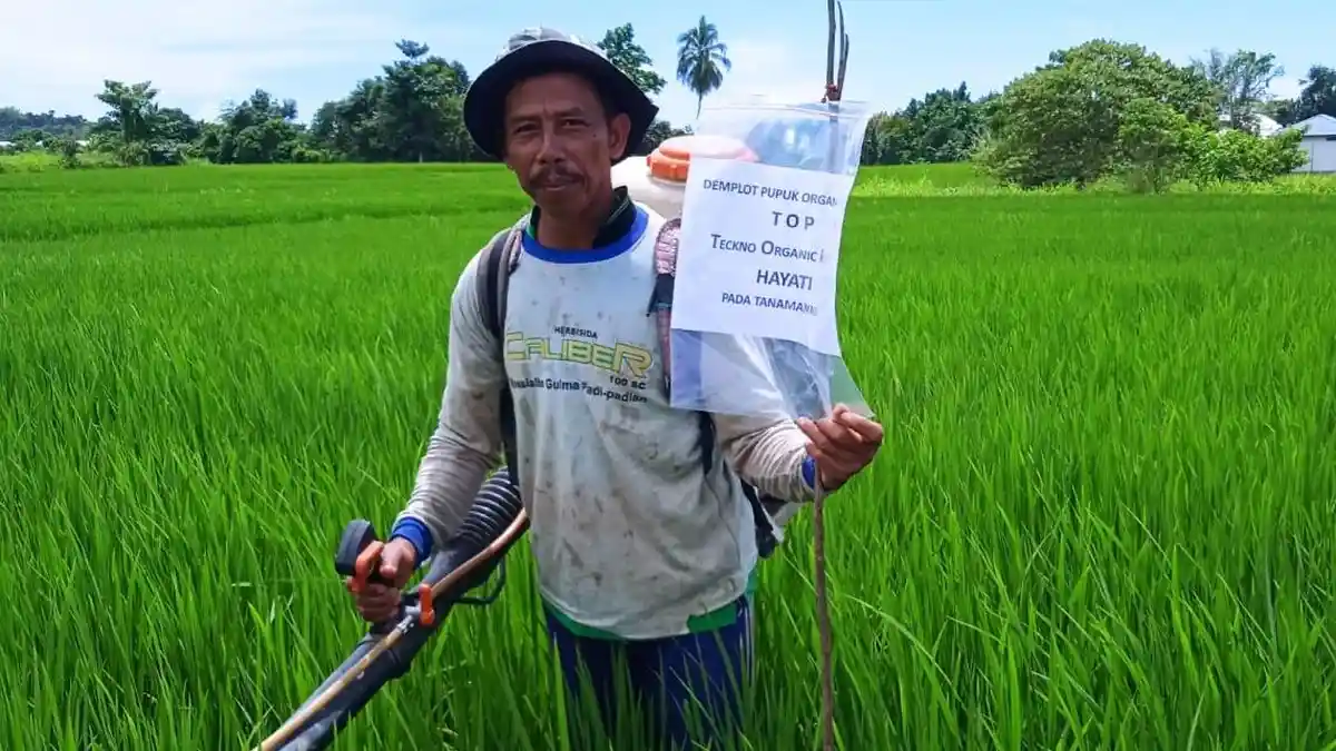Tekno Organik Papua Bakal Pasarkan Pupuk Hayati Cair di Mansel