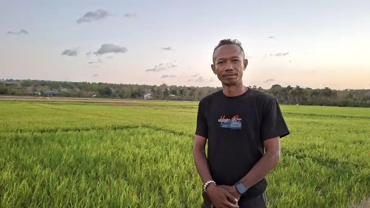 Debit Air Berkurang, 50 Persen Padi Petani Penfui Timur Gagal Panen