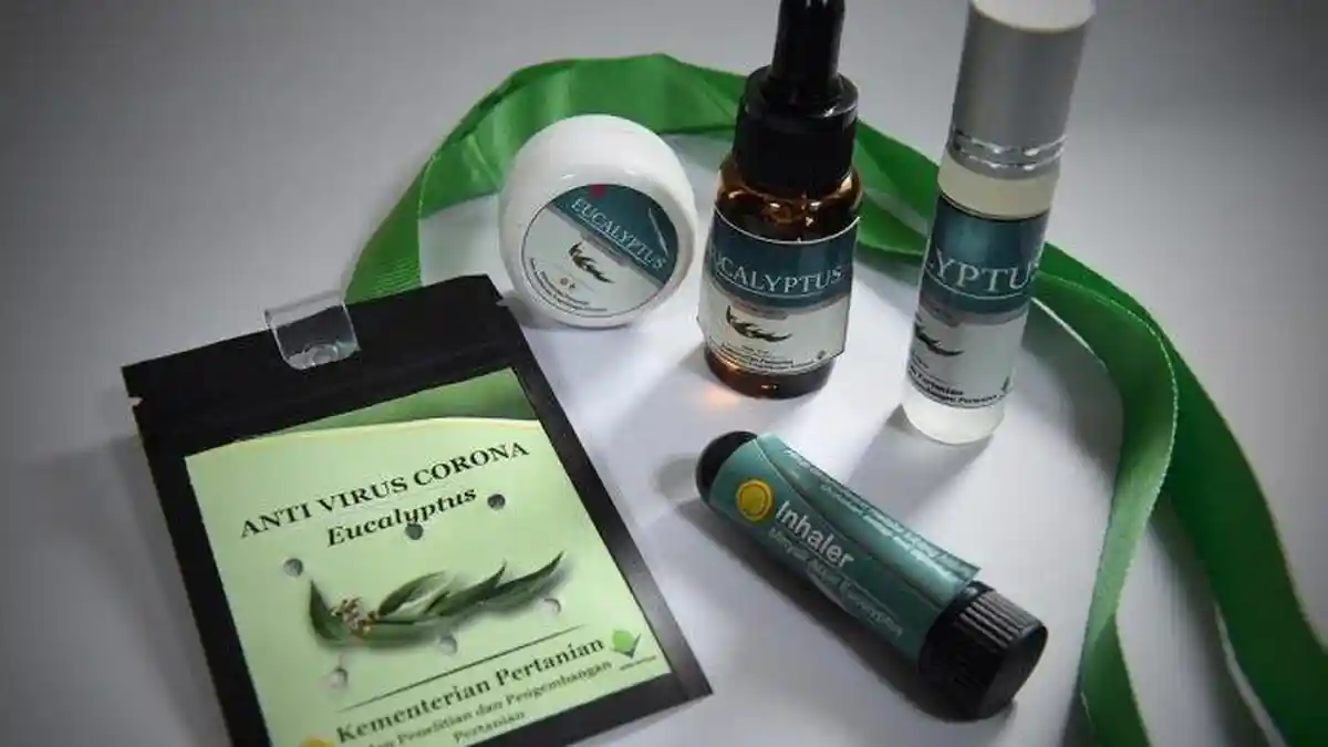 Bukan Antivirus, Izin Edar Kalung Eucalyptus dari BPOM Masuk Kategori Jamu