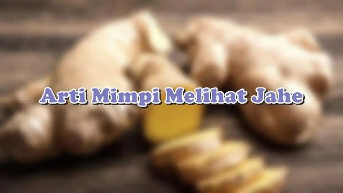 Arti Mimpi Melihat Jahe, Pertanda si Pemimpi Sedang Mencari Solusi, Ini Tafsir Lengkapnya