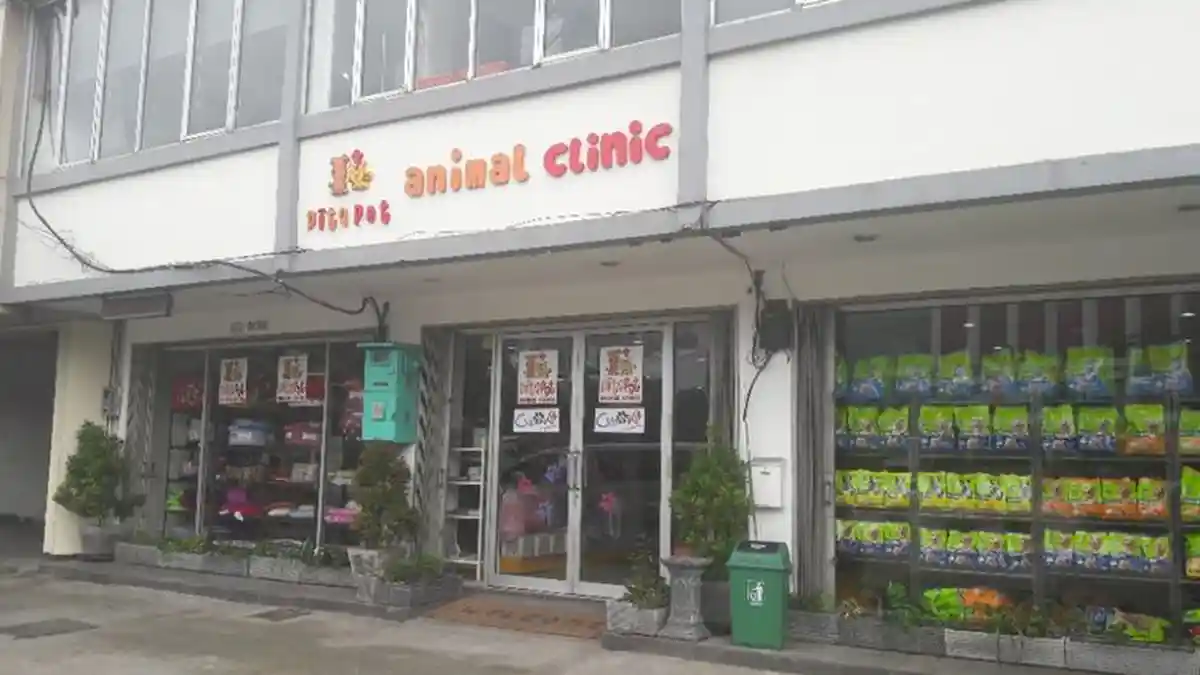 Penjelasan Klinik Vitapet Soal Kematian Anjing Chester yang Jadi Viral