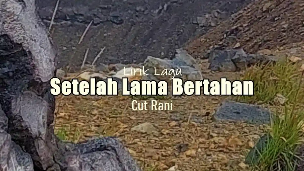 Lirik Lagu Setelah Lama Bertahan - Cut Rani, Hujan Mengingatkan Aku Pada Luka