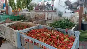 Cabai-menjadi-salah-satu-komoditas-yang-turut-menyumbang-inflasi-di-Kalsel.jpg