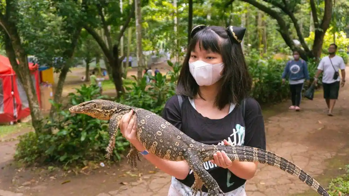 Kamu Ulang Tahun pada 16,17, dan 18 Agustus? Hari Ini Bisa Gratis Masuk Bandung Zoo