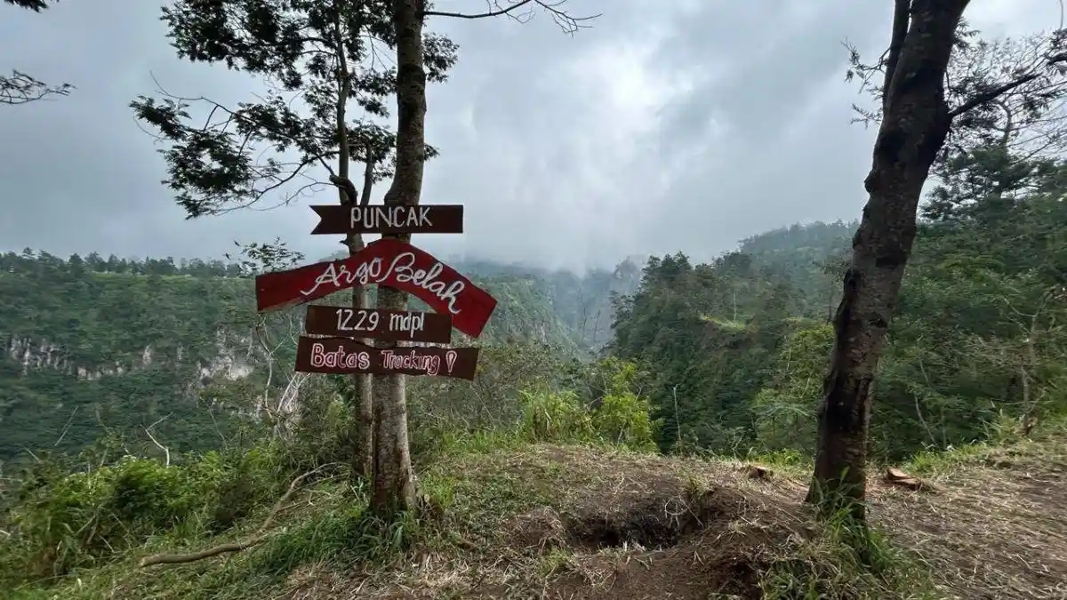 Menikmati Keindahan Lereng Gunung Merapi Lewat Jalur Hiking Argobelah Deles Indah Klaten