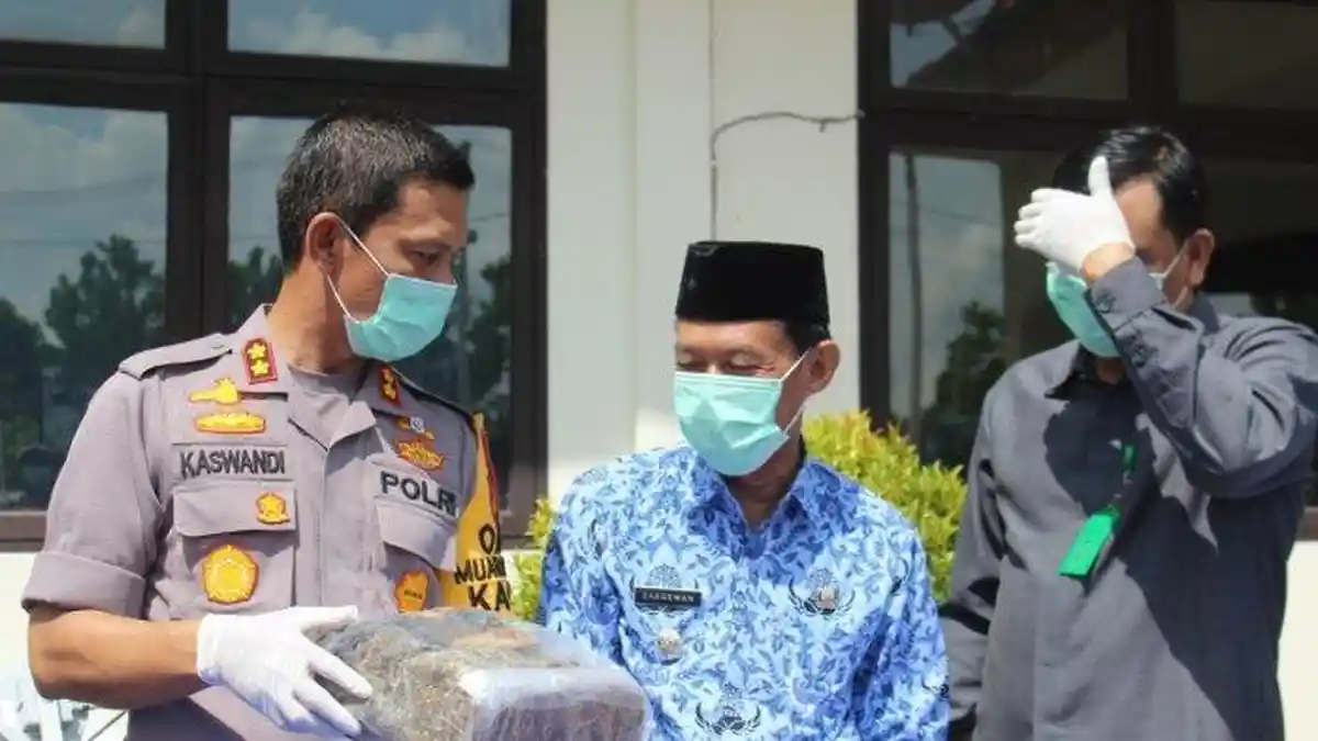 Seorang Petani Simpan Satu Paket Daun Ganja Kering di Bawah Sepatunya