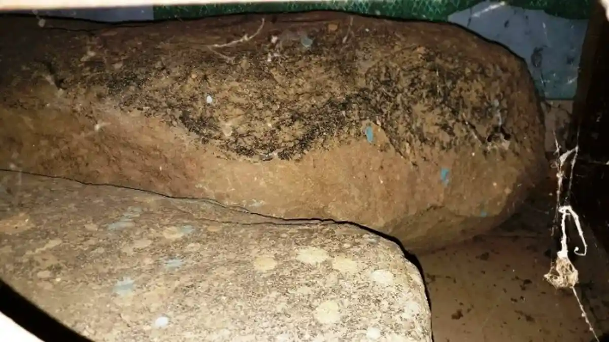 Dua Batu Misterius Beraroma Mistis Di Kantor Sekolah, Ceritanya Buat Merinding