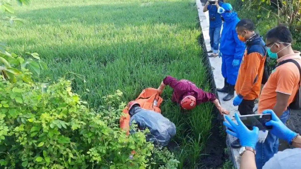 6 Petani Tewas Terkena Jebakan Tikus di Sragen, Bupati Langsung Bereaksi