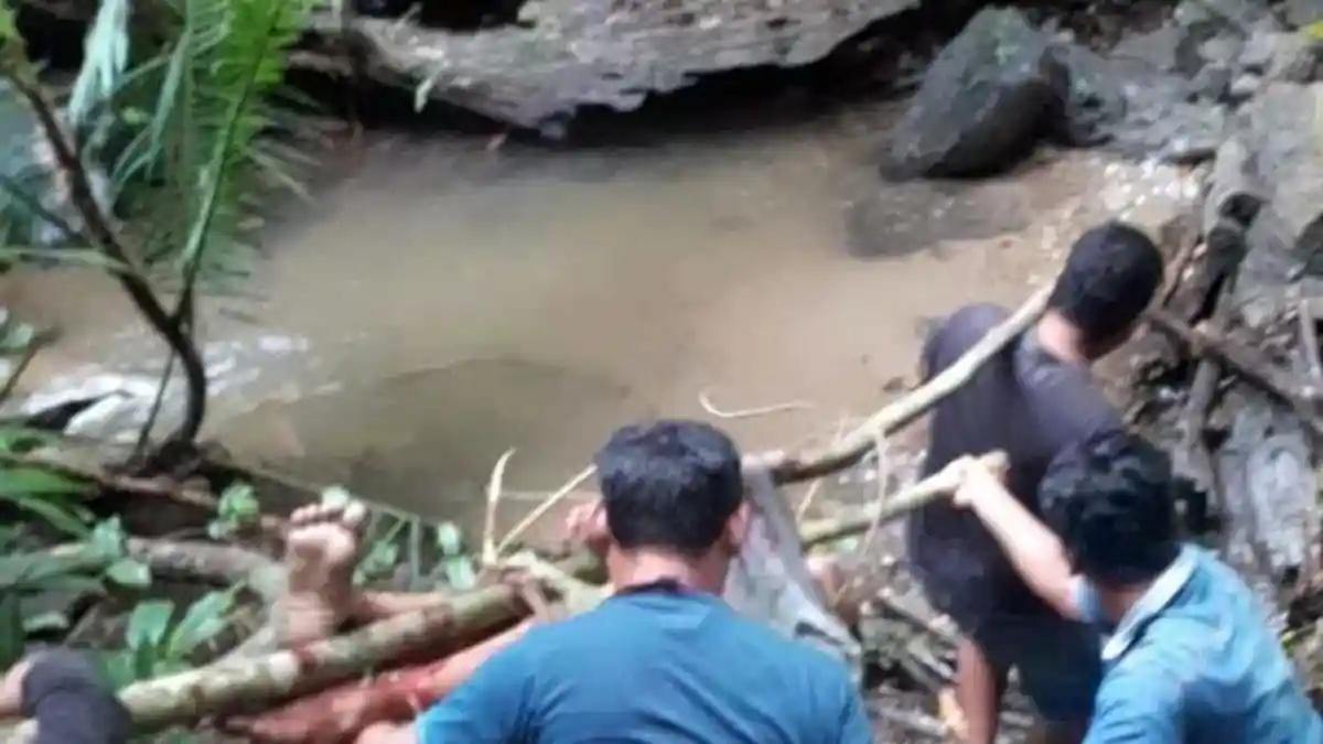 Siswa SMP Tewas Dililit Ular Piton Sepanjang 7 Meter, Warga Datang Dan Bunuh Ular Pakai Parang