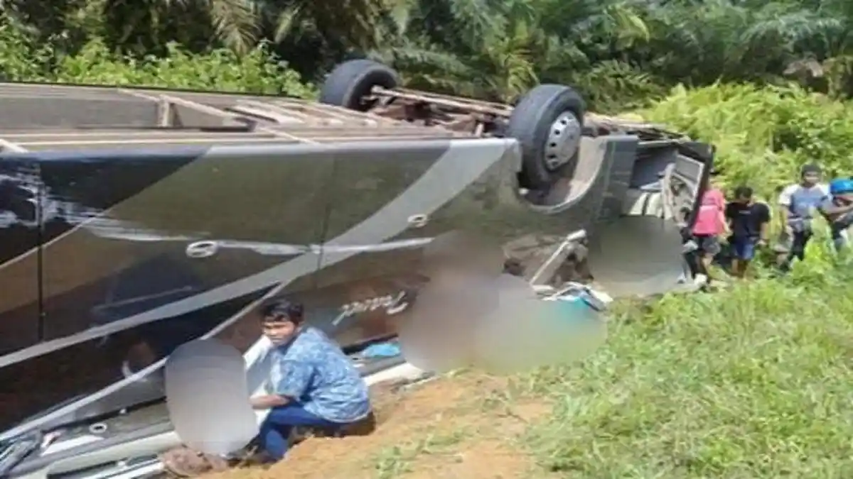 Kecelakaan Bus di Kalimantan Tengah 3 Orang Tewas, Diduga Sopir Tak Bisa Kendalikan Kemudi