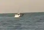 Kapal Kargo Kandas di Perairan Dungkek Sumenep Akibat Mesin Mati dan Cuaca Buruk