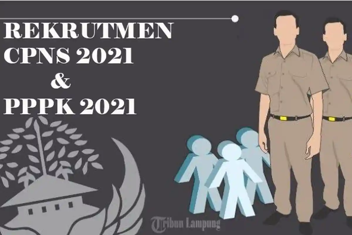 Formasi CPNS Lampung 2021, Pemkab Tanggamus Terima Kuota 1.311
