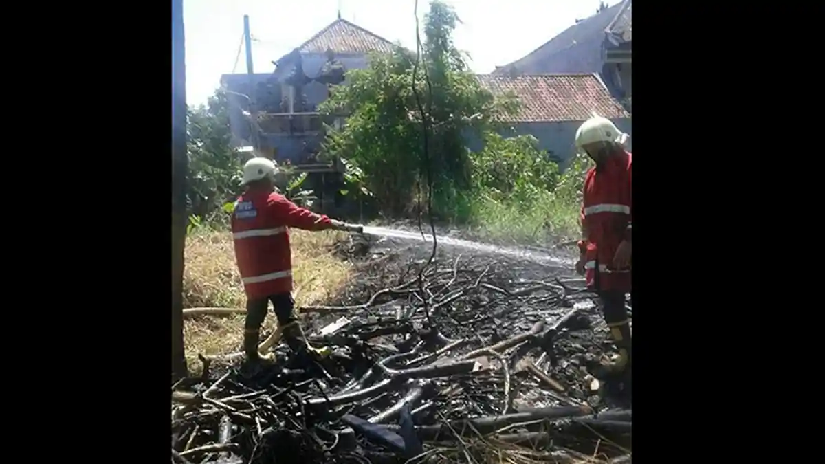 Kebakaran Alang-alang, Satu Pelinggih Ikut Dilalap Si Jago Merah di Cekomaria