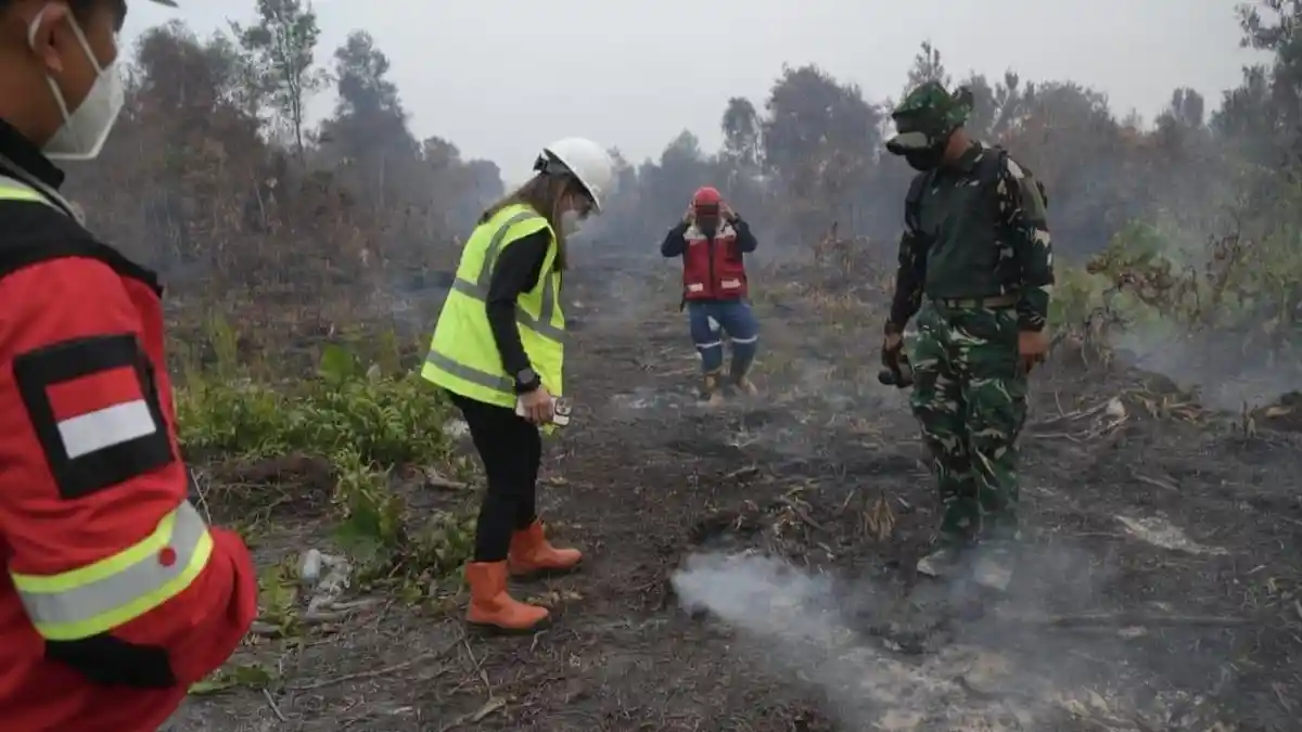 Pemerintah Dorong Kesiapsiagaan Nasional Hadapi Dinamika Perubahan Musim