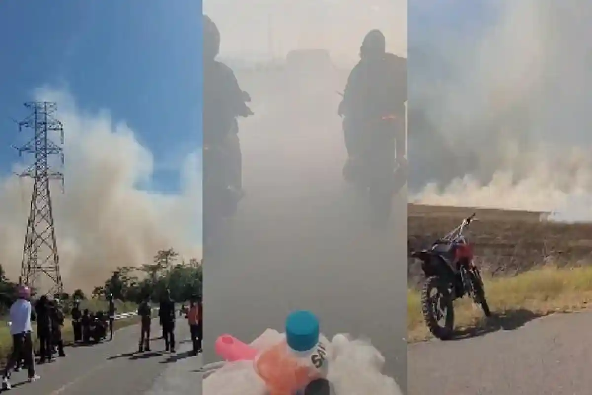 Video Viral Kebakaran Padang Rumput di Jalan Konsel-Bombana, Pengendara Motor Menembus Kabut Asap