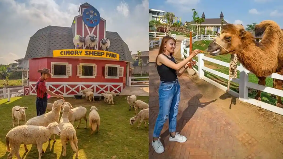 Harga Tiket dan Jam Buka Cimory Dairyland Prigen, Tempat Wisata di Pasuruan, Cocok Isi Libur Weekend