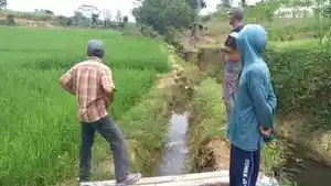 Petani-Way-Pengubuan-manfaatkan-limbah-kotoran-sapi.jpg