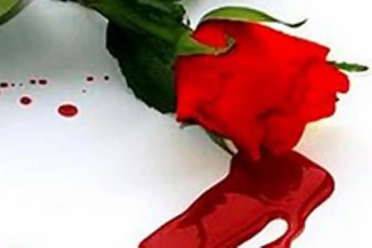 Biadab, Suami Paksa Istri yang Cacat Rekam Aksinya Memperkosa Adik Ipar Berusia 11 Tahun