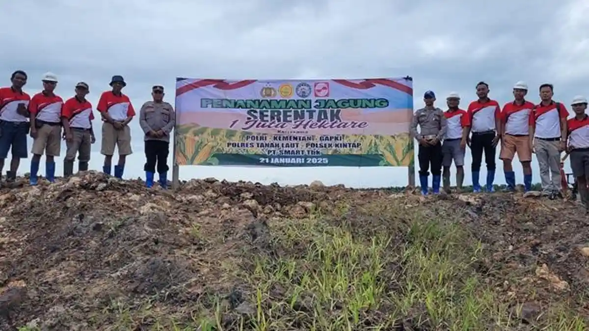 PT SMART Tbk Dukung Pemerintah Tanam Padi Gogo dan Jagung