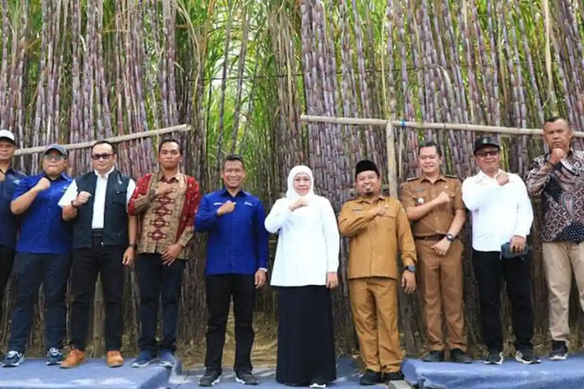 Upaya Swasembada Gula, Gubernur Khofifah Luncurkan KUR Khusus Petani Tebu Jatim, Bunga 6 Persen