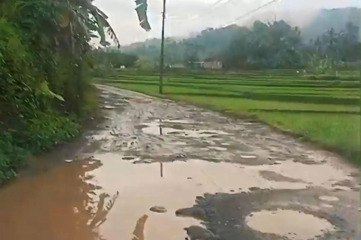 Viral Jalan Rusak di Karangrejo Purworejo, Warga Menyebut Sungai Kering