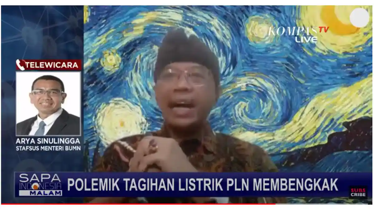 Tanggapi Polemik Kenaikan Listrik, Pengamat Kebijakan Publik: BUMN-nya PLN Lain dengan BUMN-nya BRI