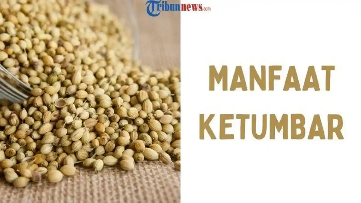 10 Manfaat Ketumbar untuk Kesehatan: dari Otak, Pencernaan, hingga Kulit