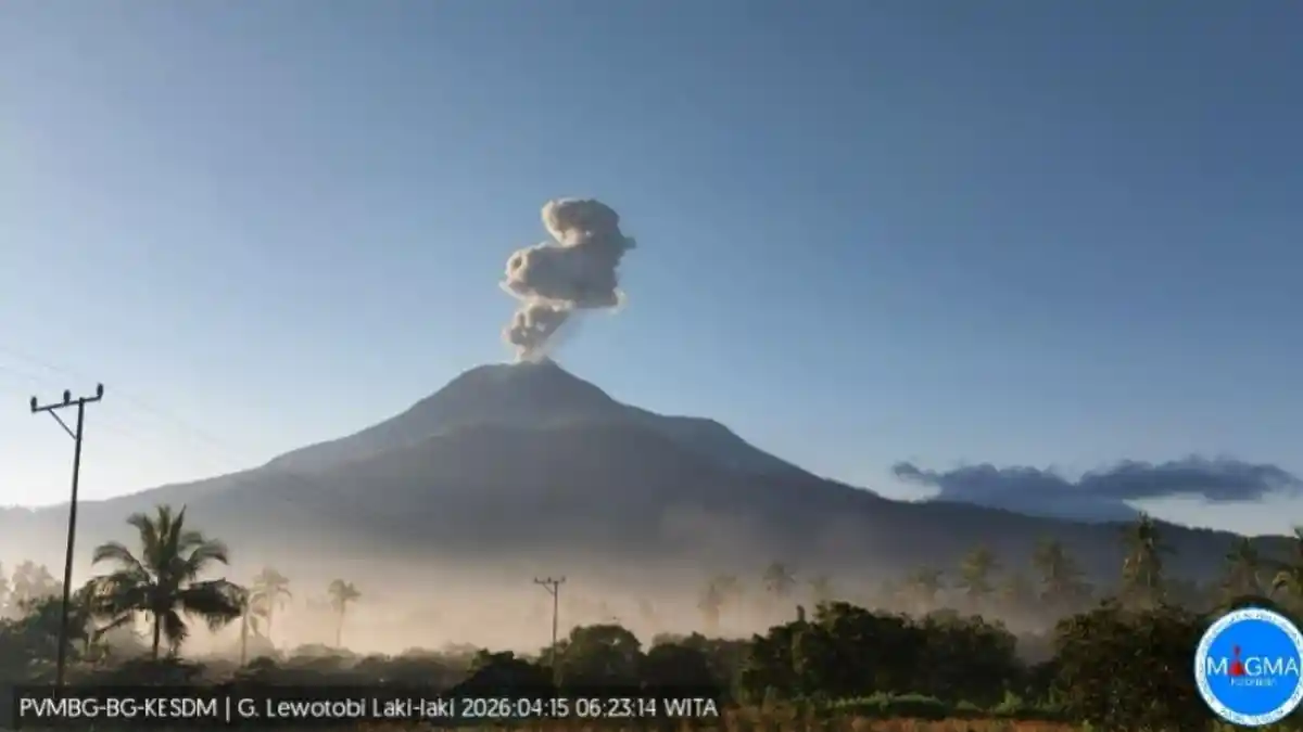 BREAKING NEWS: Pagi Ini Gunung Lewotobi Meletus, Tinggi Kolom 600 Meter