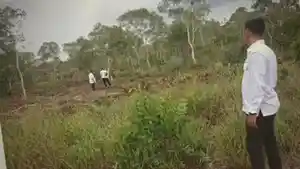 lahan-sekolah-rakyat-di-beltim.jpg