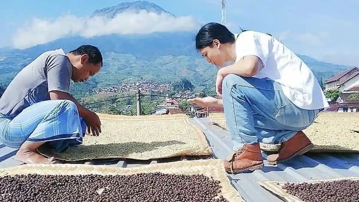 UMK Temanggung 2026 Diprediksi Naik, Maksimal Bertambah Rp 235 Ribu