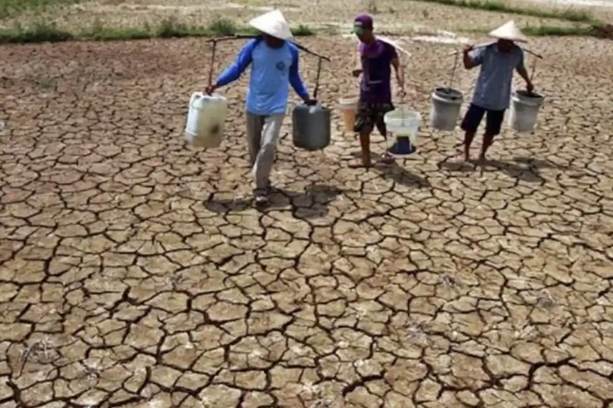 Mengenal Fenomena El Nino, Kondisi Ekstrem yang Bakal Landa Indonesia Tahun Ini