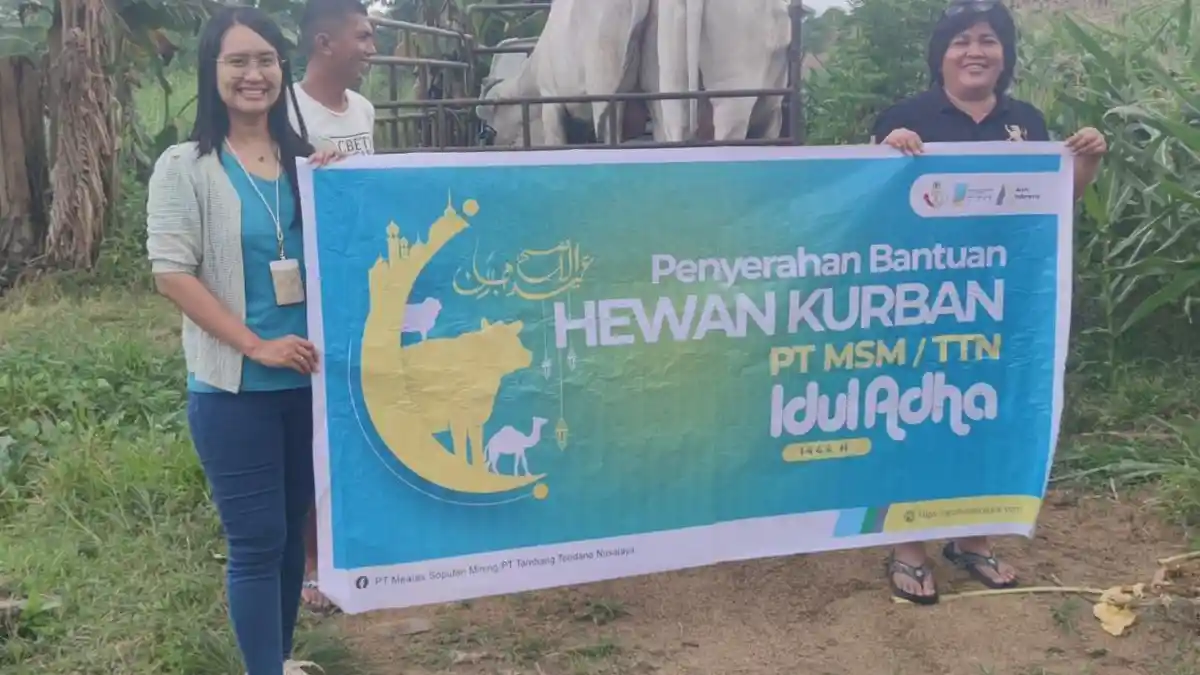 Rincian Distribusi 17 Ekor Sapi untuk Hari Raya Idul Adha 1443 di Minahasa Utara