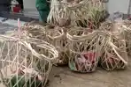 bungkusan-daging-kurban-atau-daging-kambing-menggunakan-keranjang-bambu.jpg