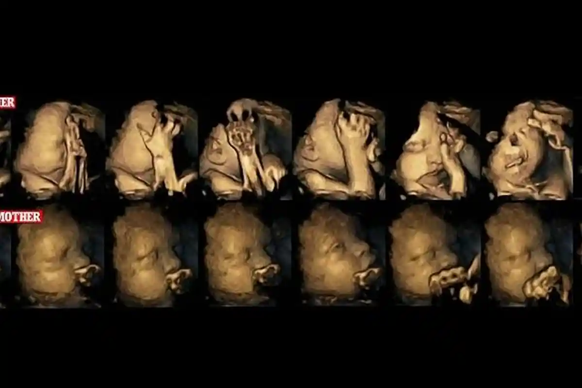 ISTRI Hamil 6 Minggu, Padahal Baru Nikah 3 Minggu, Jangan Heran Apalagi Curiga, Ini Penyebabnya