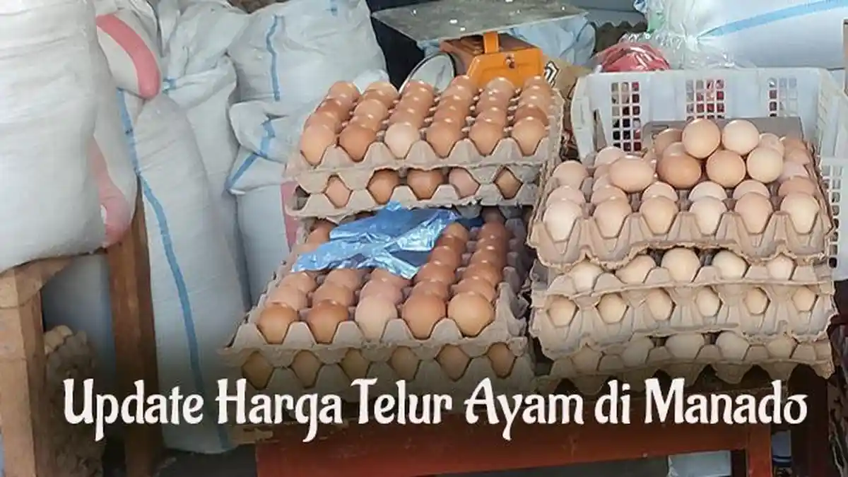 Harga Telur Ayam di Manado Selasa 26 Desember 2023, Update di Pasar Bersehati