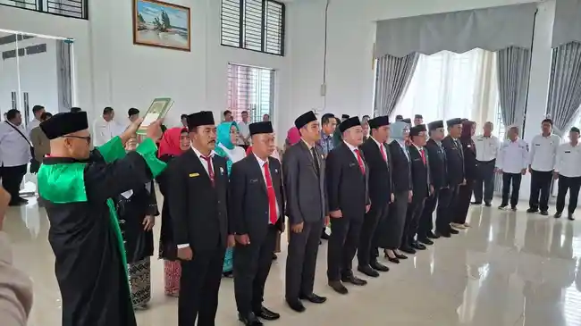 Tribun