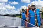 pln_plts_sengkol_393939.jpg