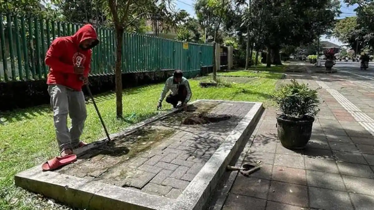 DLH Kota Malang Ungkap Penyebab Kursi di Jalan Ijen Malang Dicabut
