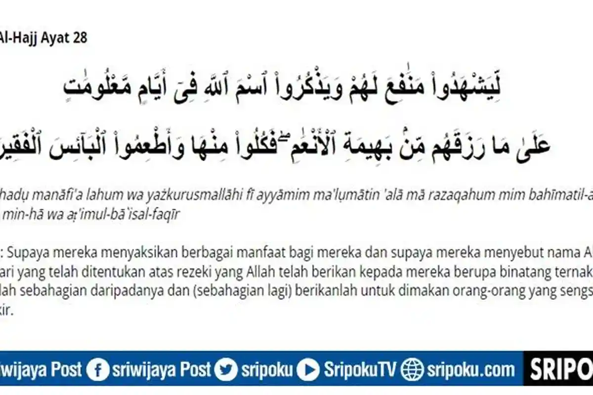 Hukum Memakan Daging Kurban bagi Orang yang Berkurban, Lengkap Anjuran Tercantum dalam Ayat Alquran