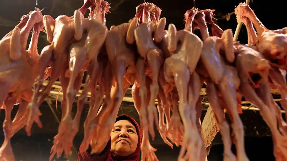 Harga Telur dan Daging Ayam Kabupaten Semarang Tembus Rp 40 Ribu