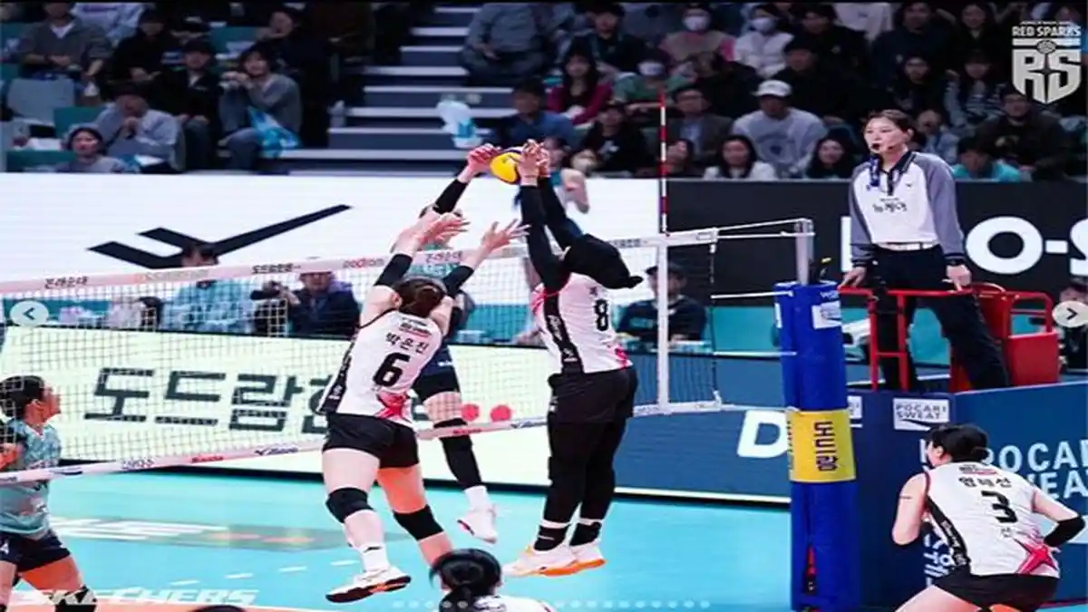 Live Score Red Sparks vs AI Peppers Hari Ini Update Hasil Liga Voli Korea Selatan, Mega Onfire !