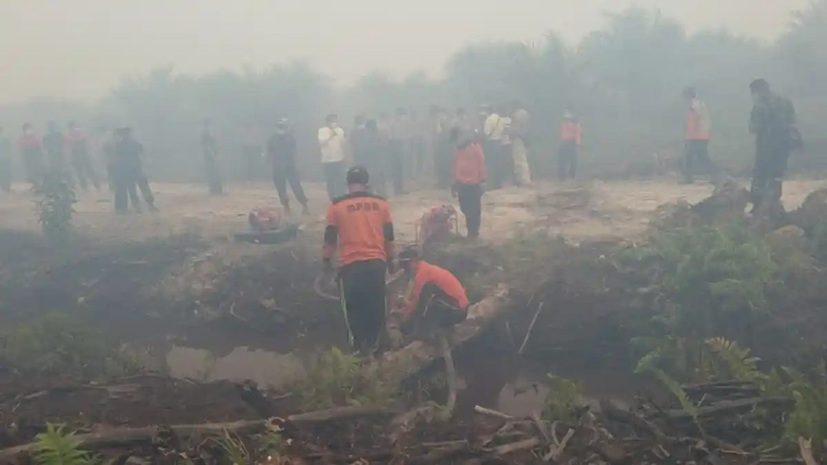 Belum Ada Tersangka Dalam Kasus Pembakaran Hutan di Jambi