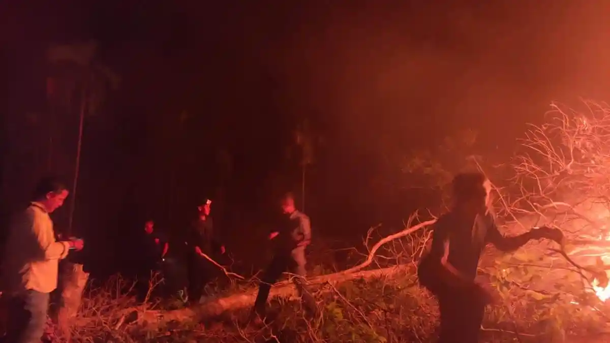 Lokasi Kebakaran tidak Dapat Dijangkau Damkar, Petugas Padamkan Api dengan Cara Dipukul