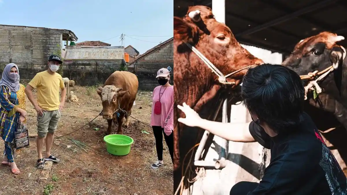 Rayakan Idul Adha 2020, 5 Artis Ini Ikut Berkurban: Sule, Raffi Ahmad hingga Atta Halilintar