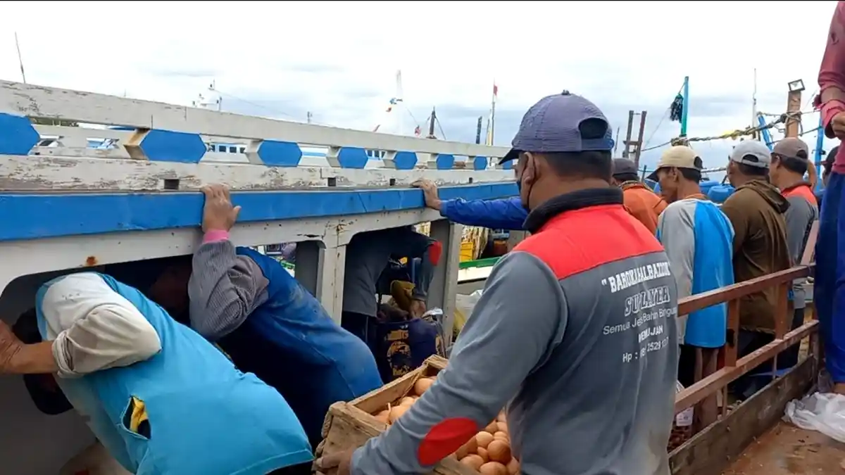 Terdampak Cuaca Buruk, Harga Telur di Karimunjawa Melambung, Jadi Rp 50 Ribu Per Kg