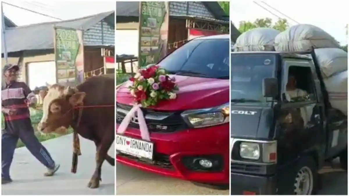 VIRAL Pernikahan Sultan, Seserahan Bawa Sapi, Mobil, Gabah 5 Pikap hingga Uang Rp400 Juta