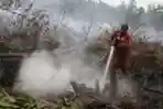 Kebakaran Lahan di Pekanbaru