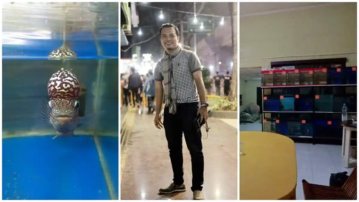 Bermodal Louhan Pemberian Teman, Pria di Palembang Ini Sukses Jadi Peternak, Masa Covid-19?