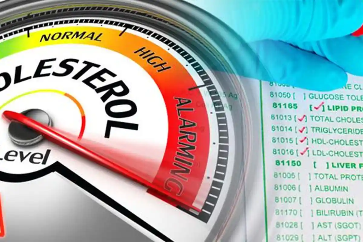 Turunkan Kolesterol Pasca Konsumsi Daging di Hari Raya Idul Adha dengan 10 Makanan Ini