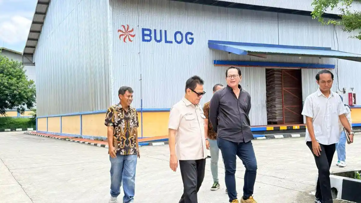 Stok Beras Nasional Capai 5 Juta Ton, Bulog Ciamis Perkuat Penyerapan Gabah